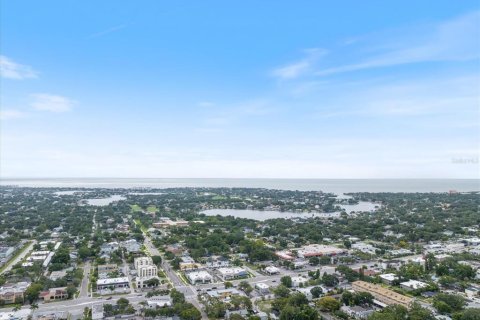 Condo in Saint Petersburg, Florida, 1 bedroom № 2223229 - photo 15