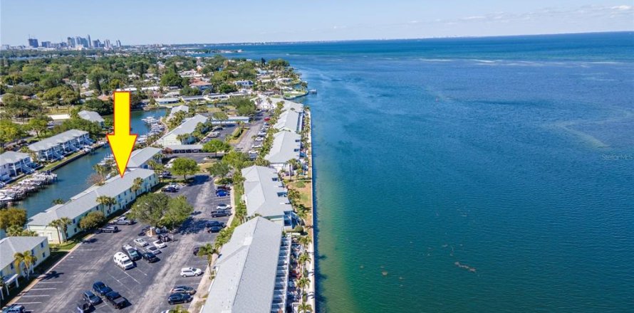 Condominio en Saint Petersburg, Florida, 2 dormitorios № 1902689