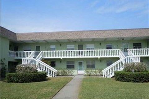 Studio in the Condo in Tarpon Springs, Florida № 2353214