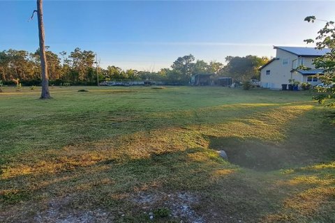 Land in Bokeelia, Florida № 1553784 - photo 2