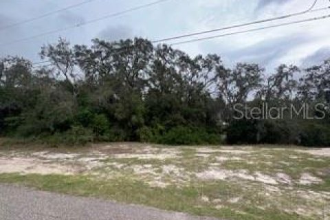 Land in Spring Hill, Florida № 2143878