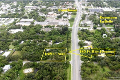 Commercial property in LaBelle, Florida № 1957612 - photo 4