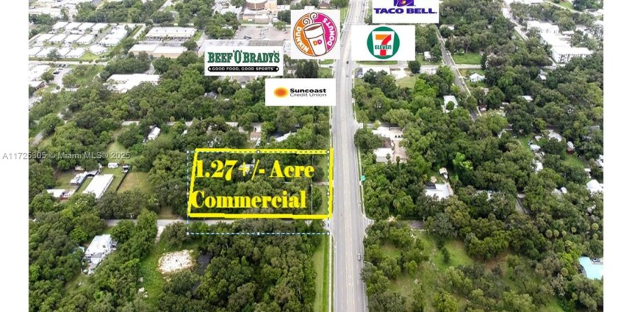 Commercial property in LaBelle, Florida № 1957612