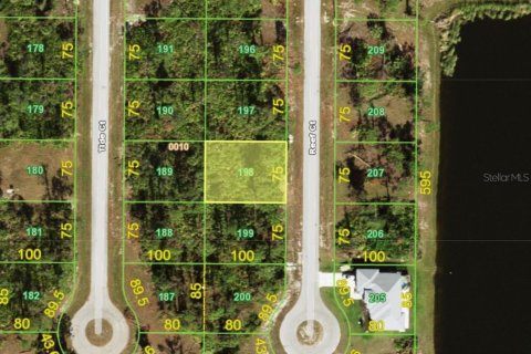 Land in Placida, Florida № 2162789 - photo 2