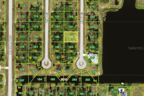 Land in Placida, Florida № 2162789 - photo 3