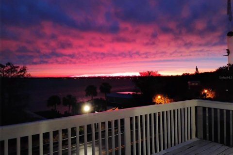 House in Mount Dora, Florida 3 bedrooms, 145.3 sq.m. № 2431614 - photo 3