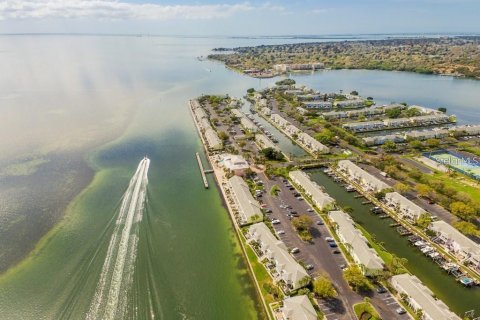 Condominio en alquiler en Saint Petersburg, Florida, 1 dormitorio, 76.46 m2 № 1555290 - foto 27
