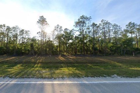 Terreno en venta en Lake Wales, Florida № 2143137 - foto 2