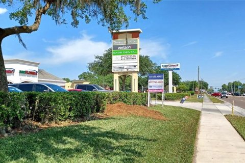 Land in Plant City, Florida № 1883602 - photo 8