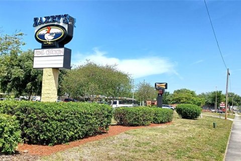 Land in Plant City, Florida № 1883602 - photo 4