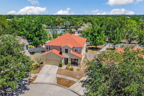 House in Riverview, Florida 4 bedrooms, 292.55 sq.m. № 2108227