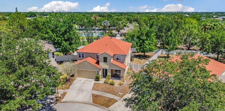 House in Riverview, Florida 4 bedrooms, 292.55 sq.m. № 2108227
