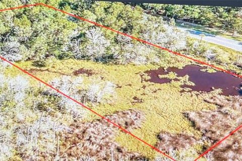Terreno en venta en Crystal River, Florida № 2212607 - foto 3