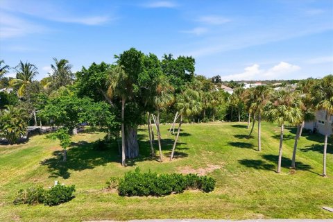 Land in Placida, Florida № 2394005 - photo 3