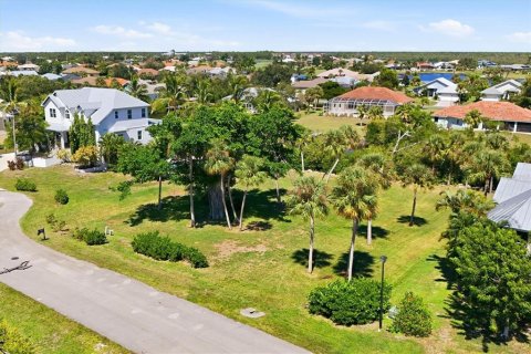 Land in Placida, Florida № 2394005 - photo 8