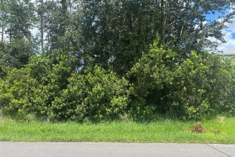 Terreno en venta en Palm Coast, Florida № 1884873 - foto 1