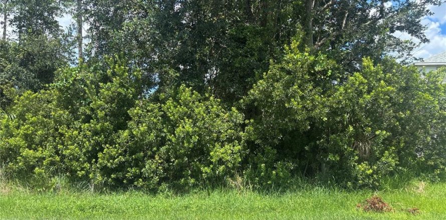 Terreno en Palm Coast, Florida № 1884873