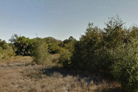 Terreno en venta en Lehigh Acres, Florida № 978456 - foto 1