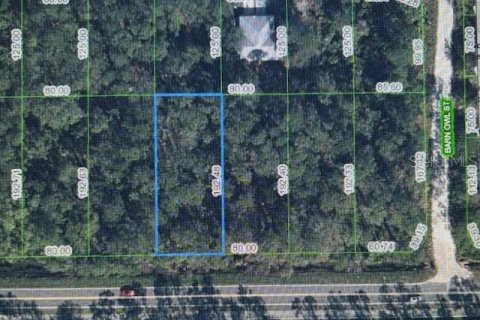 Land in Sebring, Florida № 2161376 - photo 2