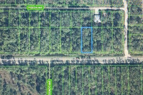 Land in Sebring, Florida № 2161376 - photo 3