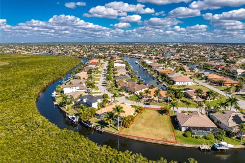 Land in Punta Gorda, Florida № 2139379 - photo 11
