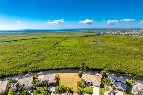 Land in Punta Gorda, Florida № 2139379 - photo 13