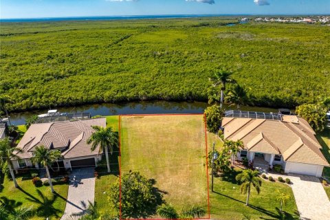 Land in Punta Gorda, Florida № 2139379 - photo 15