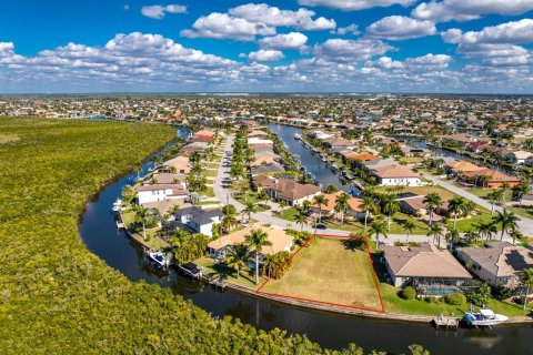 Terrain à Punta Gorda, Floride № 2139379