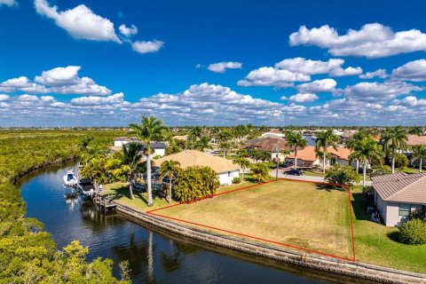 Land in Punta Gorda, Florida № 2139379 - photo 4