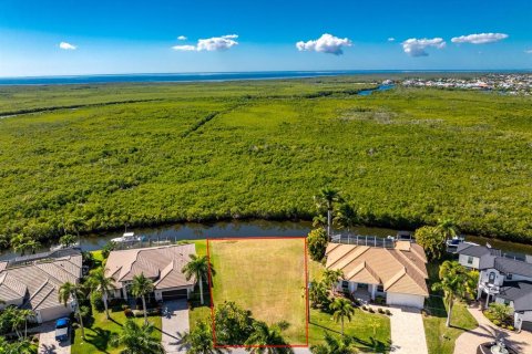 Land in Punta Gorda, Florida № 2139379 - photo 9