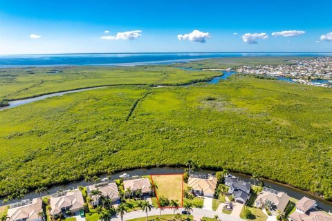 Land in Punta Gorda, Florida № 2139379 - photo 8