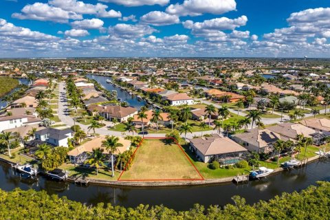 Land in Punta Gorda, Florida № 2139379 - photo 3