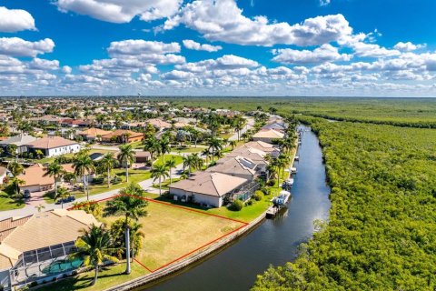 Land in Punta Gorda, Florida № 2139379 - photo 6
