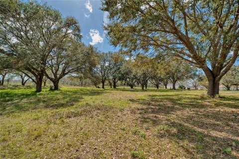 Terrain à vendre à Groveland, Floride № 1530886 - photo 4
