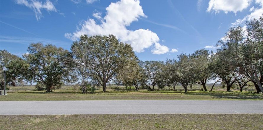 Terrain à Groveland, Floride № 1530886