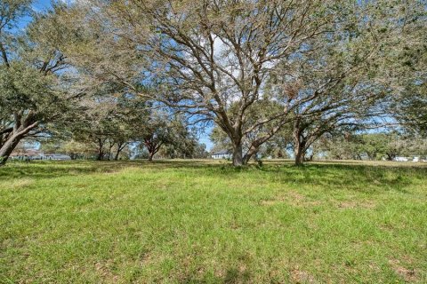 Terrain à vendre à Groveland, Floride № 1530886 - photo 6