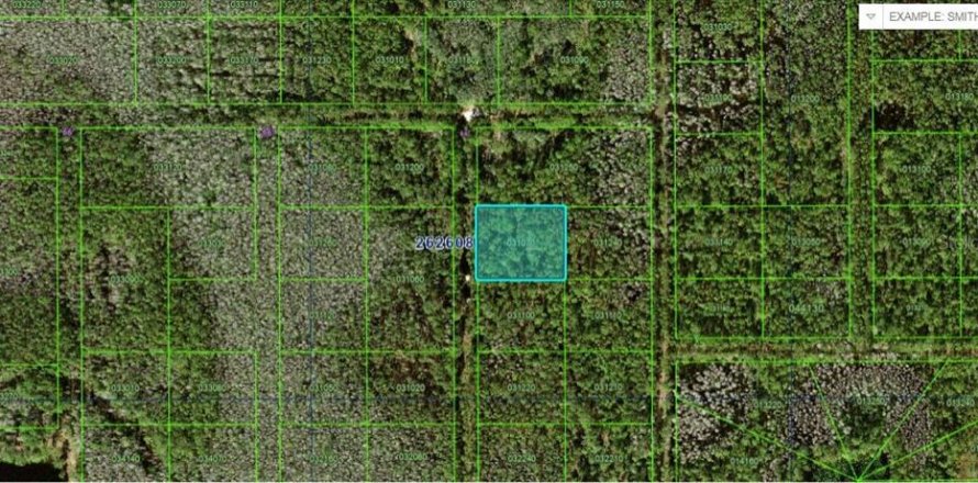Terreno en Polk City, Florida № 2160729