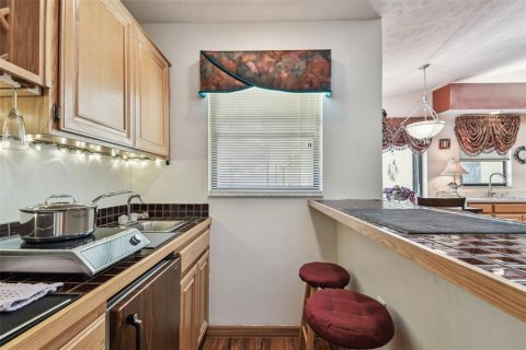 Villa ou maison à vendre à Valrico, Floride: 4 chambres, 295.43 m2 № 1649942 - photo 21