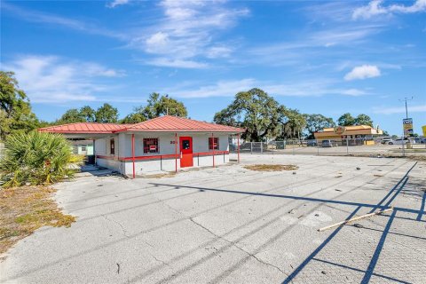 Terreno en venta en Lakeland, Florida № 2147696 - foto 19