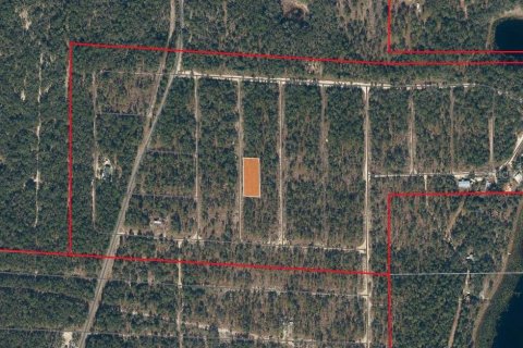 Land in Hawthorne, Florida № 2163031
