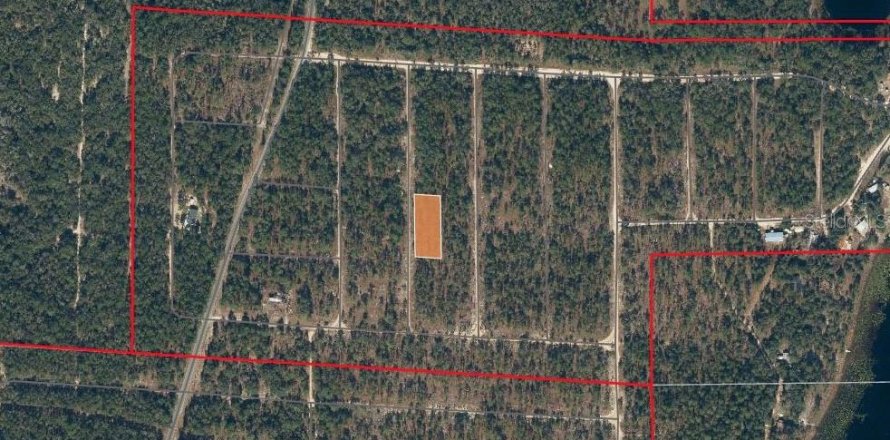 Land in Hawthorne, Florida № 2163031
