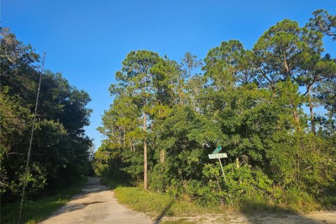 Land in Lake Placid, Florida № 2199136 - photo 8