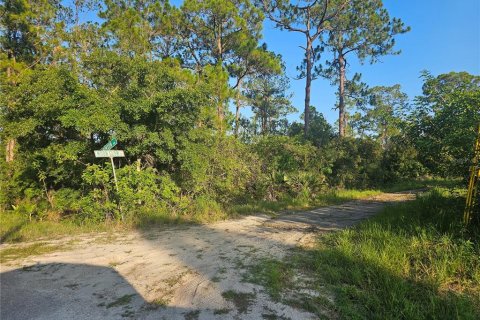 Land in Lake Placid, Florida № 2199136 - photo 10