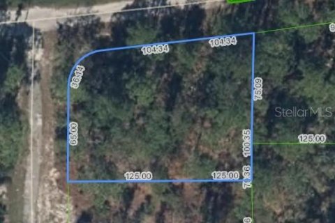 Land in Lake Placid, Florida № 2199136