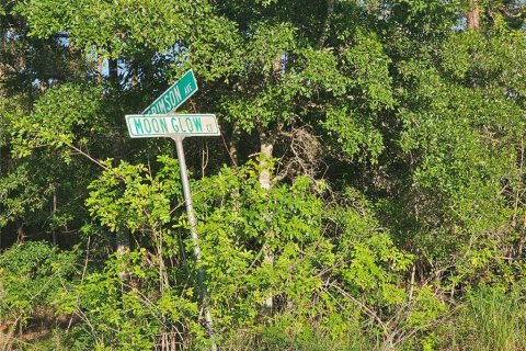 Land in Lake Placid, Florida № 2199136 - photo 11