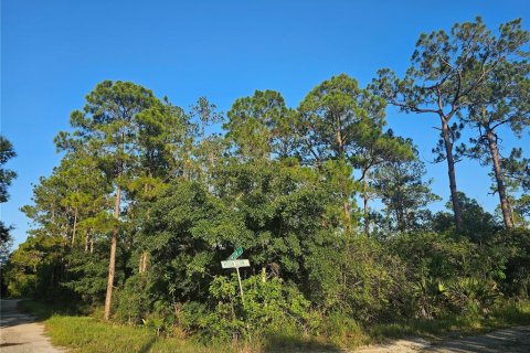 Land in Lake Placid, Florida № 2199136 - photo 9