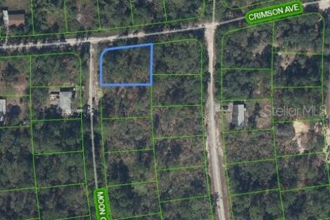 Land in Lake Placid, Florida № 2199136 - photo 2