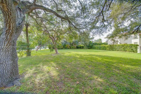 Land in Coral Gables, Florida № 2082119 - photo 2