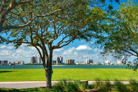Land in Belleair, Florida № 1562878 - photo 3