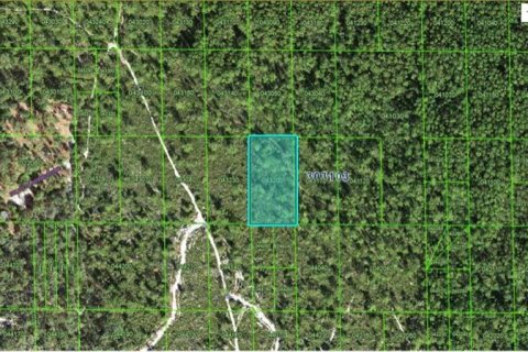 Terreno en Lake Wales, Florida № 2202860